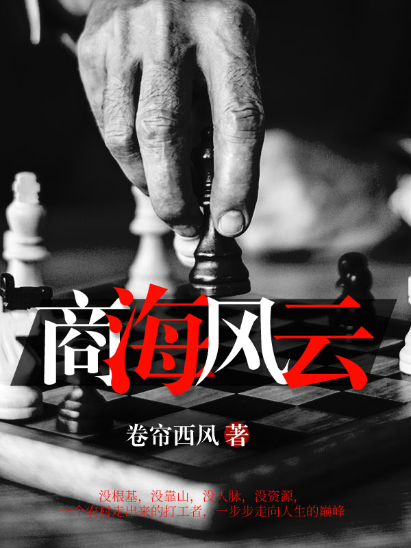 商海风云小说