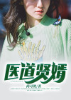 医武贤婿小说