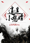 逍遥小憨婿大结局