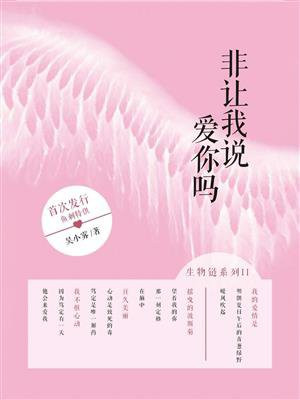 非让我说爱你吗 小说