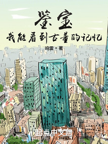 我能看到古董的记忆小说