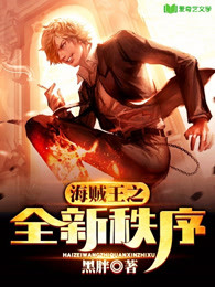 海贼王之秩序大时代