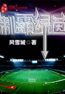 制霸绿茵场之我的时代