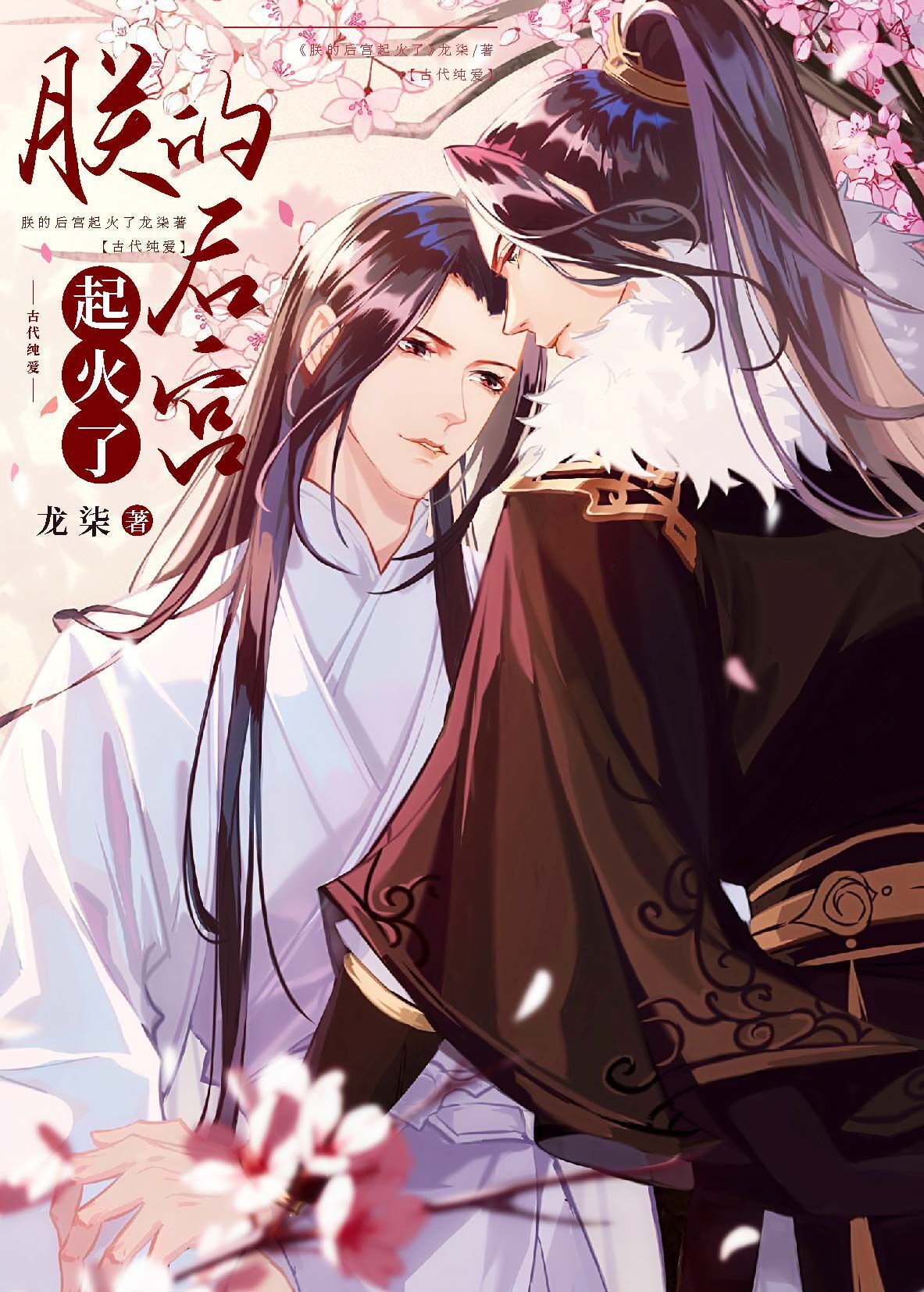 朕的后宫起火了漫画下拉式免费