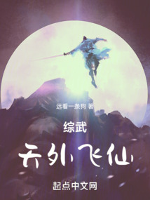 天外飞仙结局
