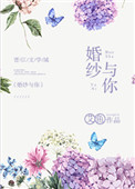 婚纱与你小说