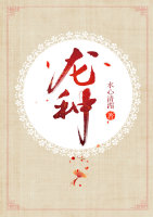 龙种翡翠手镯多少钱