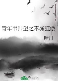青年韦帅望系列顺序