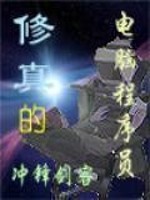程序员之类的修真小说