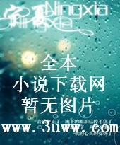 星海 小说