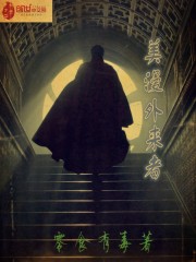 美漫外来者 小说