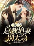 一胎三宝:总裁追妻别太急