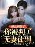 傅总别跪了,你被判了无妻徒刑