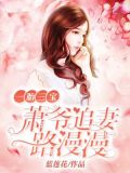 一胎三宝:萧爷追妻路漫漫