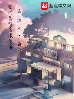 我有个杂货店