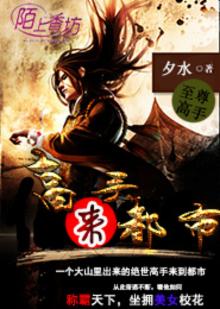 高手都市搜
