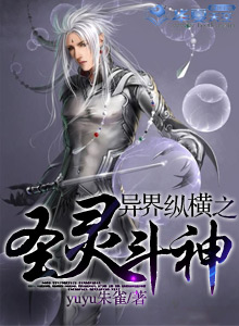异界纵横之圣灵斗神
