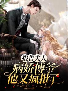 报告夫人傅总又来求复婚了完结版