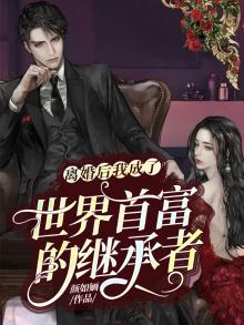 离婚后我成了世界首富的继承者 小说