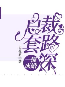 一撩成瘾:总裁宠妻忙