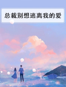 总裁别跑
