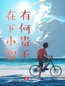 在下小智,有何贵干 无弹窗