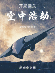 开局通关空中浩劫爱吃梅子的猪