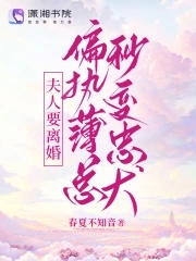夫人又在闹离婚了薄司晏