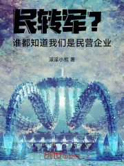 民转军谁都知道我们是民营企业顶点小说
