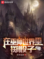 在巫师世界里掷骰子星海巡游