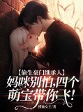 偷生豪门继承人:妈咪别怕,四个萌宝带你飞!
