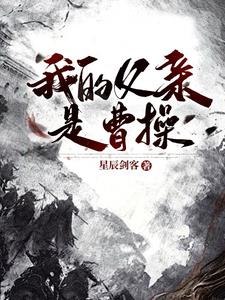 我的老爹是曹操 小说