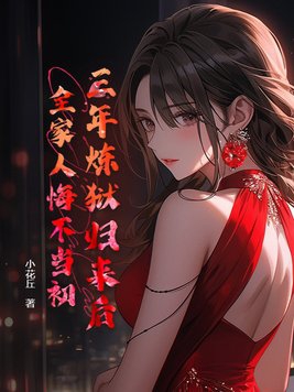 三年牢狱小说
