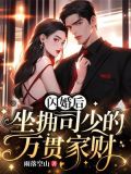 闪婚后,坐拥司少的万贯家财