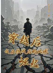 穿越后核弹洗地小说