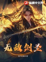 无极剑圣小说