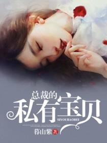总裁的独家私宠48