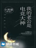 我的老公是电竞大神百度网盘