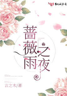 蔷薇雨之夜