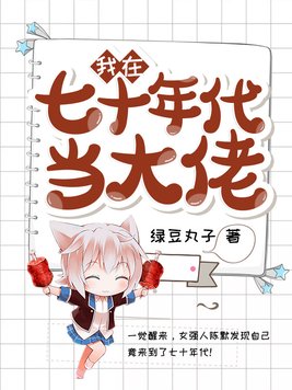 我在七十年代成大佬