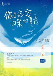你是远方归来的夏天是什么歌