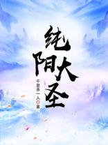 纯阳大圣txt