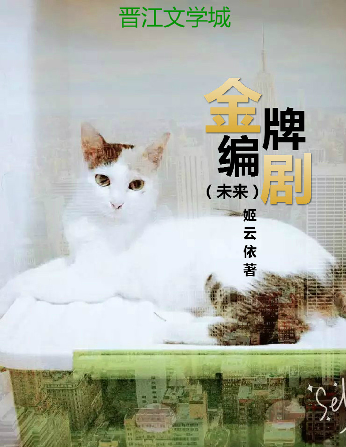 tvb金牌编剧