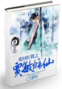 重回红楼之贾敏修仙记小说