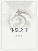 小说里有斗王斗皇斗尊的小说