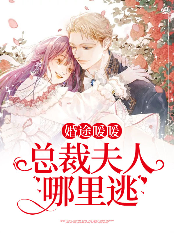 总裁夫人苏暖暖