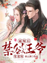 王爷变皇上