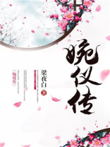 婉仪传 小说
