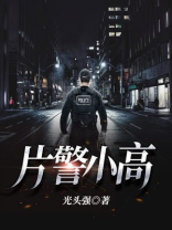 片警是什么