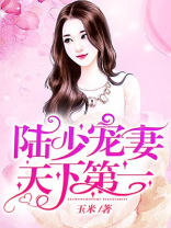 陆少宠妻天下第一小说免费读
